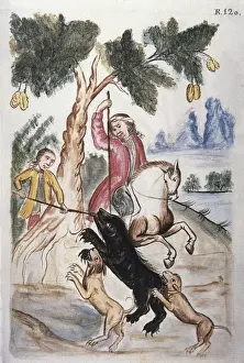 MART͎EZ COMPAѓN Y BUJANDA, Baltasar Jaime (1735-1797)