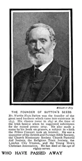 Grasses Prints: Martin Hope Sutton