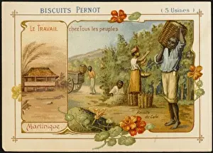 Satisfy Prints: Martinique Coffee