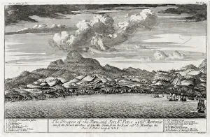 Images Dated 2021 February: 11 Feb 2021 Collection