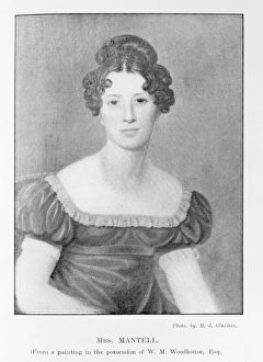 Hadrosauriformes Collection: Mary Ann Mantell