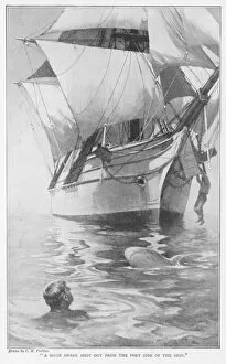 Survives Gallery: Mary Celeste / Fosdyk 1872