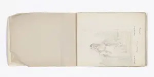 Mary Gibbs Shapter Drawing Book