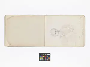 Mary Gibbs Shapter Drawing Book