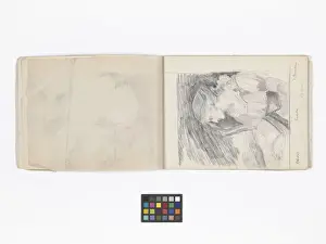 Mary Gibbs Shapter Drawing Book