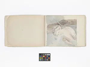 Mary Gibbs Shapter Drawing Book