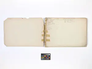 Mary Gibbs Shapter Drawing Book