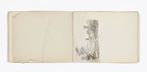 Mary Gibbs Shapter Drawing Book