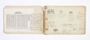 Mary Gibbs Shapter Drawing Book