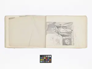 Mary Gibbs Shapter Drawing Book