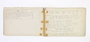 Mary Gibbs Shapter Drawing Book