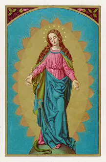 Virgin Collection: Mary Immaculate Virgin