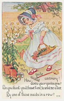 Mary Mary Quite Contrary