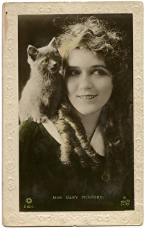 Performing Cats