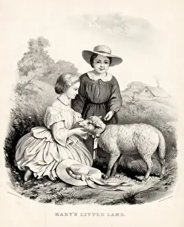 Marys Little Lamb