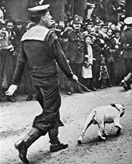 Images Dated 15th April 2016: Mascot of the HMS Queen Elizabeth