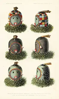 Ethnology Prints: Masks of Api lashiwanni Warriors of the Zenith