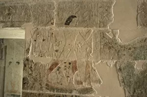 Images Dated 22nd November 2003: Mastaba of Nefer and Kahay. Relief. Male figure on a boat sa