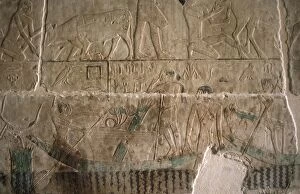 Images Dated 22nd November 2003: Mastaba of Nefer and Kahay. Relief. Servants transporting go