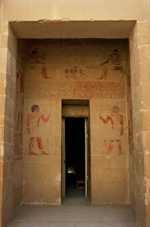 Hieroglyph Collection: Mastaba of Nhnumhotep and Niankhkhnum. Royal servants. Egypt