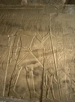 Deceased Prints: Mastaba of Ptahhotep and Akhethotep. Deceased is depicted st