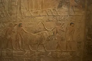 Mastaba of Ptahhotep and Akhethotep. Egypt