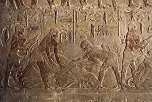Saqqara Prints: Mastaba of Ti. EGYPT. Saqqara. Mastaba of Ti