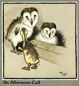 Owls Prints: Master Quack the duckling meets two owls