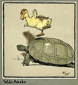 Thrown Prints: Master Quack the duckling thrown into the air
