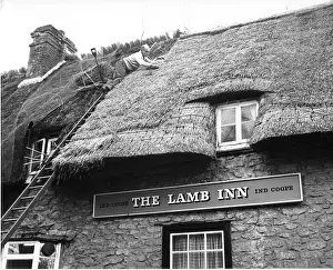 Milton Prints: Master Thatcher R Craker working on Lamb Inn, Little Milton