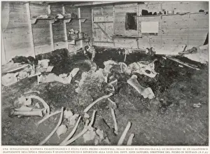 Skeletons Prints: Mastodon remains in Indiana