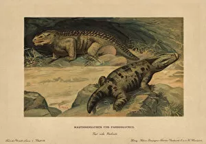 Mastodonsaurus, extinct giant amphibian