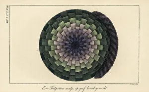 Needlework Prints: A mat woven from thick coloured string