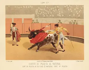 Gomez Prints: Matador making a pass with the muleta (cape) and sword