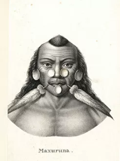 Ethnography Collection: Matses warrior with facial tattoos, shells and feathers