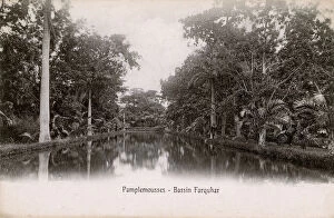 Mauritius Collection: Mauritius - Pamplemousses - Basin Farquar