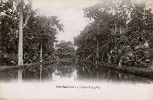 Mauritius - Pamplemousses - Basin Farquar Mauritius - Pamplemousses - Basin Farquar