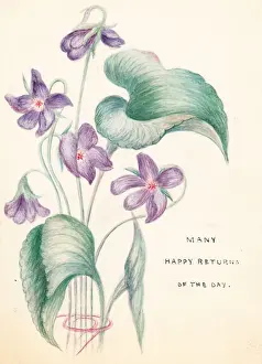 Mauve flowers on a hand-coloured birthday card