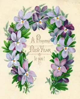 Pansies Gallery: Mauve and purple flowers on a New Year card