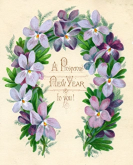 Pansies Gallery: Mauve and purple flowers on a New Year card