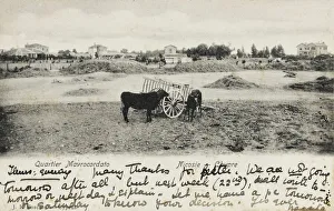Oxen Gallery: The Mavrocordato Quarter - Nicosia, Cyprus