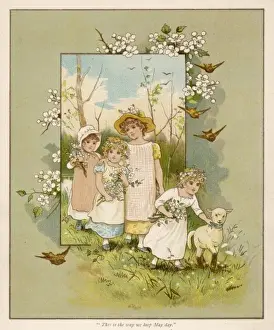 May Blossom Etc