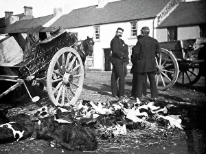 May Fair, Ballyclare, Ireland in 1883