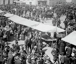 May Fair, Ballyclare, Ireland in 1883