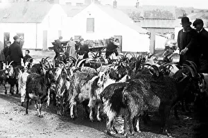May Fair, Ballyclare, Ireland in 1883