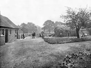 Buckets Prints: Mayford School, Woking - Farmyard
