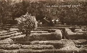 The Maze - Hampton Court