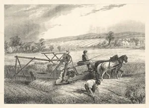Horsedrawn Gallery: MCCORMICKS REAPER