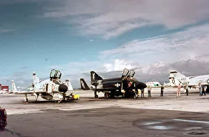 Bunny Prints: McDonnell F-4J 153783 Playboy Black Bunny