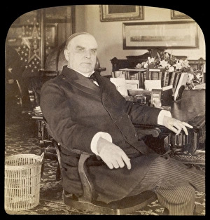 Mckinley Gallery: Mckinley at Desk